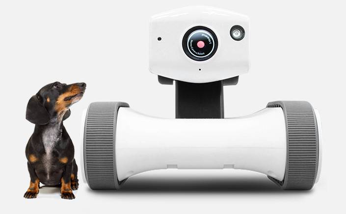 寵物健身機器人市場的開拓者—Varram 為應對基于物聯(lián)網(wǎng)的智能型家居監(jiān)控機器人需求的增加而擴大投資