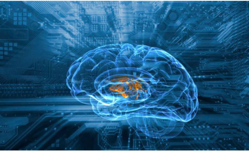 餐飲機器人為噱頭,結果餐廳經營不善,機器人:我背這鍋咯?