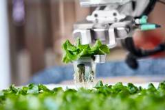 未來的機器人農場不是你所期望的