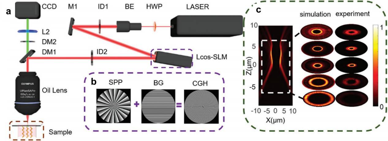 中國(guó)科大研制遠(yuǎn)程可控的磁控微納機(jī)器人用于靶向藥物治療