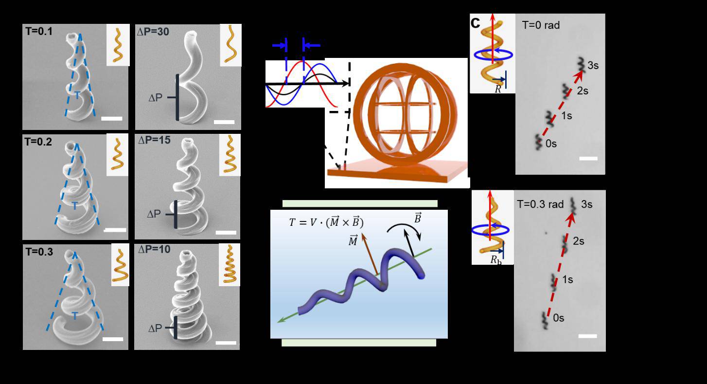 中國(guó)科大研制遠(yuǎn)程可控的磁控微納機(jī)器人用于靶向藥物治療