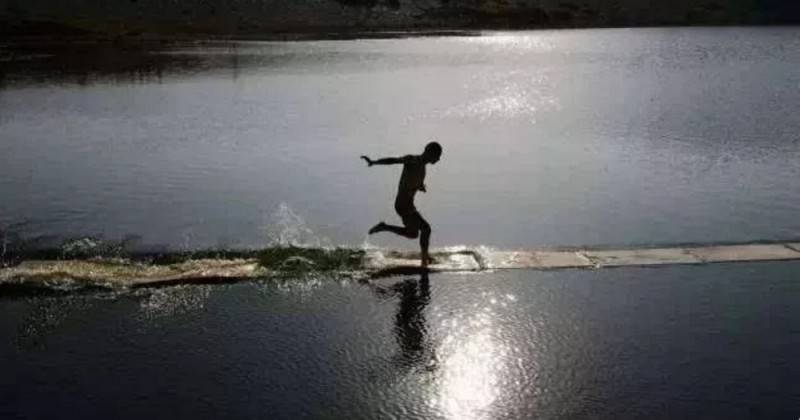 機器人水上造橋?造陸?載人?這些科幻片中的場景快實現了!