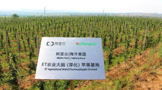 AI做得深,趕快去農(nóng)村