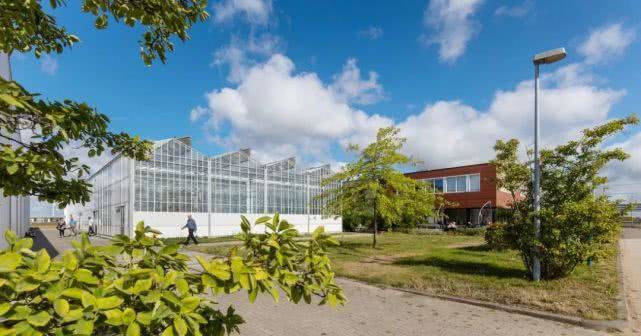 AI做得深,趕快去農(nóng)村