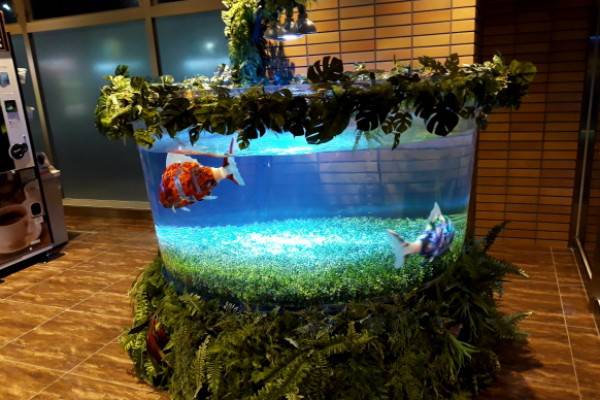 觀賞魚機(jī)器人市場的開拓者——AIRO水下機(jī)器人演出系統(tǒng)開發(fā)......水族館、主題公園市場拓展