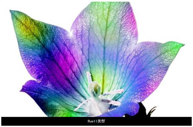 正念冥想機器人-激發潛在創意