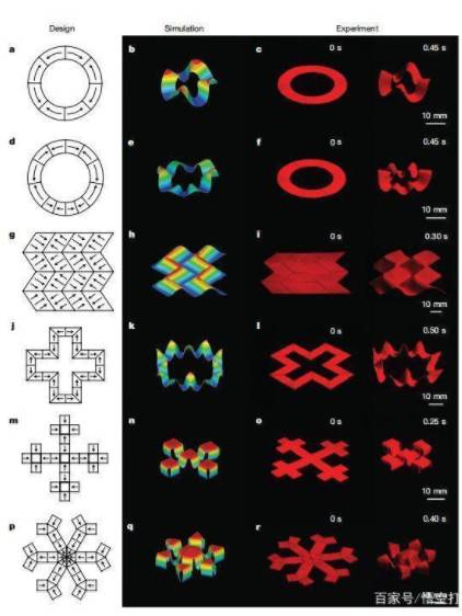 3D打印軟體機(jī)器人,3D打印服務(wù)應(yīng)用越來(lái)越廣!