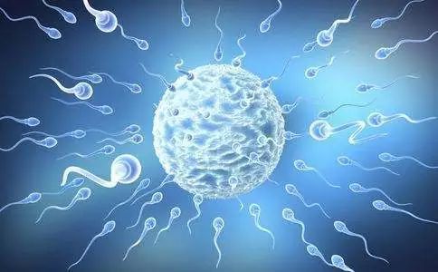 成功啦!受精子啟發的微型機器人可在身體里游動,運送藥物