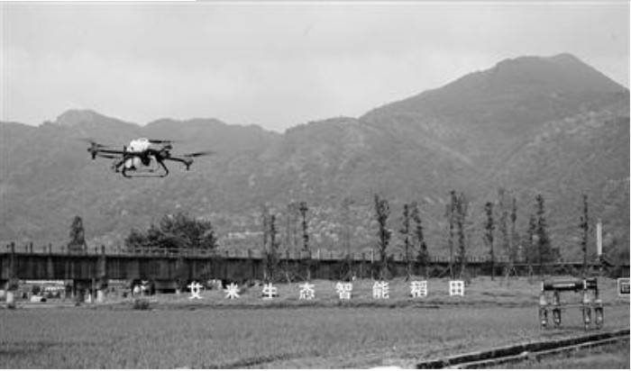 浙江首個(gè)5G智慧農(nóng)業(yè)上線 機(jī)器人巡田無人機(jī)噴灑