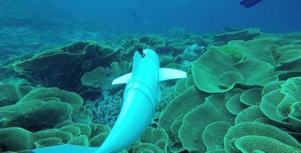 ��(x��)˼�O����δ���㿴�����@Щ��(d��ng)�������ܶ��ǙC(j��)������