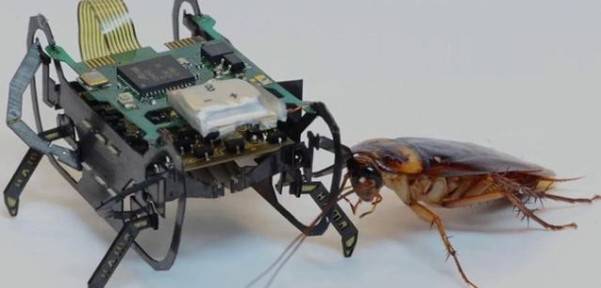 ��(x��)˼�O����δ���㿴�����@Щ��(d��ng)�������ܶ��ǙC(j��)���ˣ�