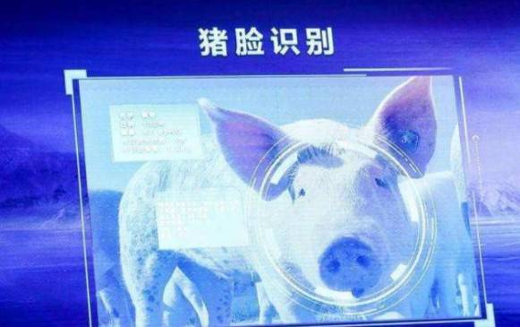 ���|��֙C�����B�i���r�I�Ј������Ƿ����޴�