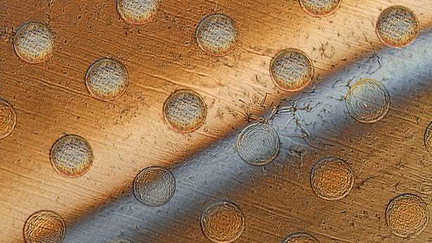 MIT科學家用石墨烯大規模制備出細胞大小的合成機器人